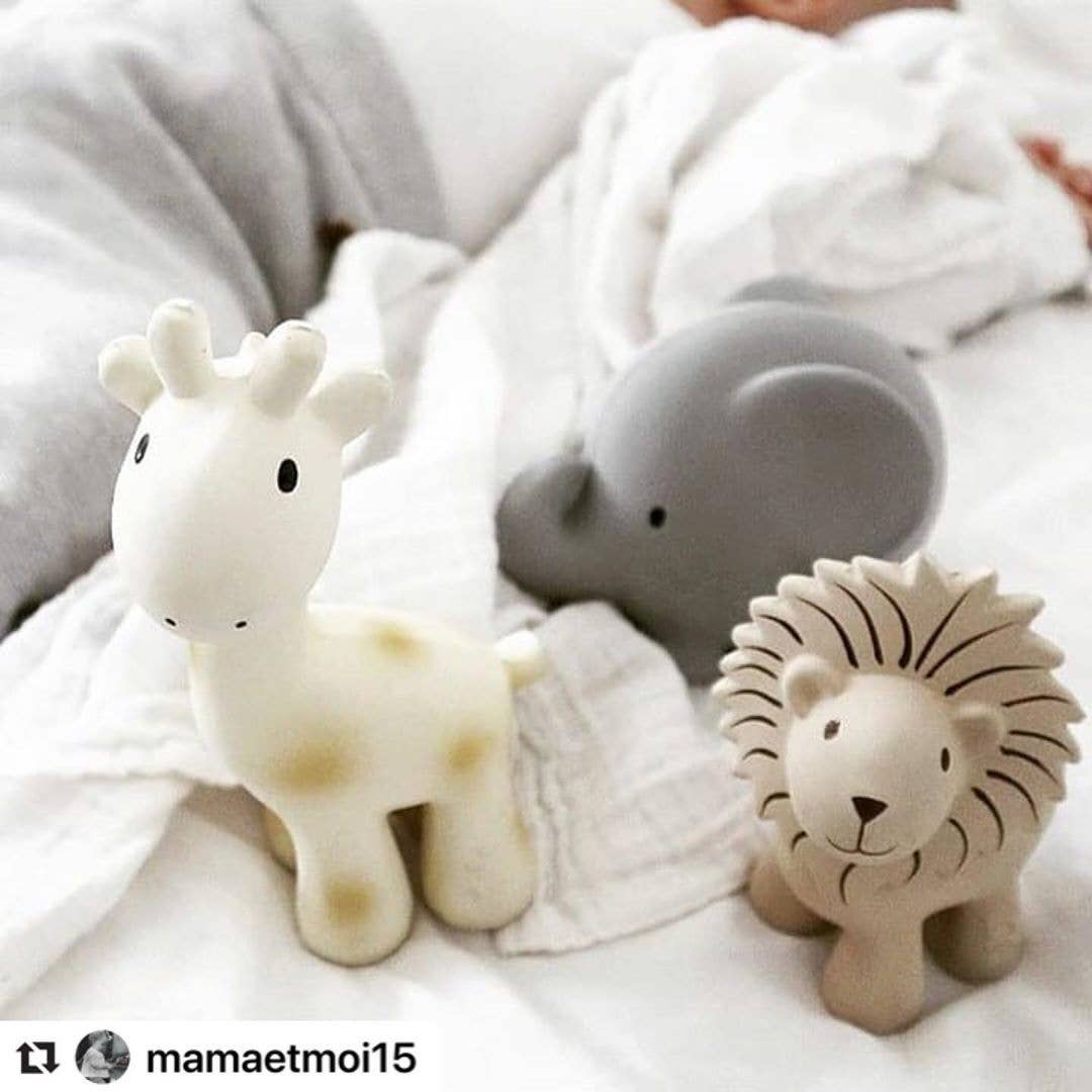 Elephant Organic Rubber Teether, Rattle & Bath Toy - Image 10