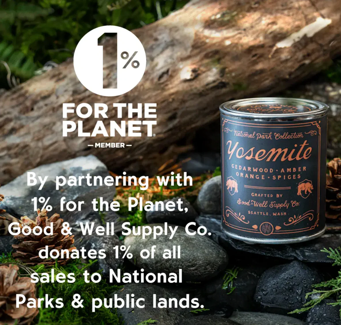 Everglades National Park Candle - Image 3
