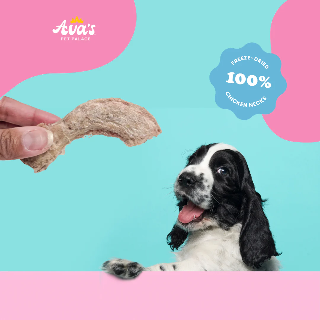 Freeze Dried Chicken Neck - Chicken Twists - Image 4