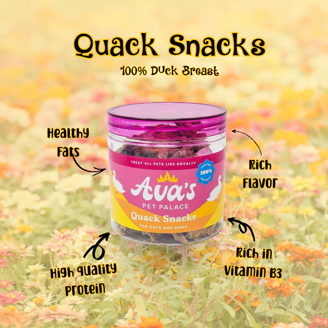 Freeze Dried Duck Breast - Quack Snacks - Image 5