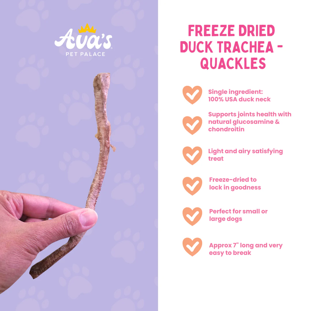 Freeze Dried Duck Trachea - Quackles - Image 2