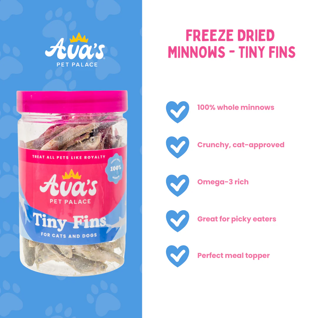 Freeze Dried Minnows - Tiny Fins - Image 2