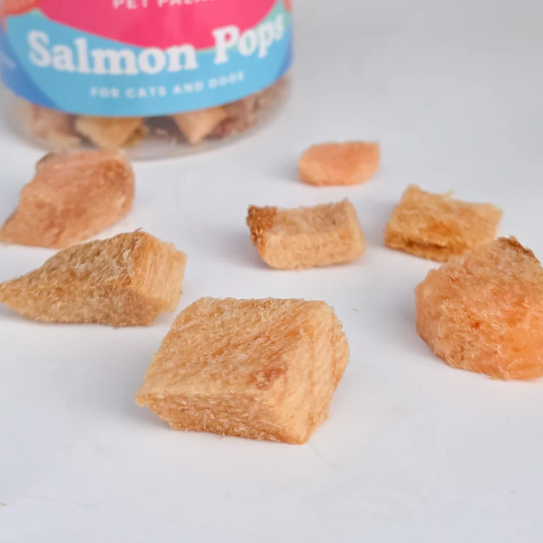 Freeze Dried Salmon - Salmon Pops - Image 3