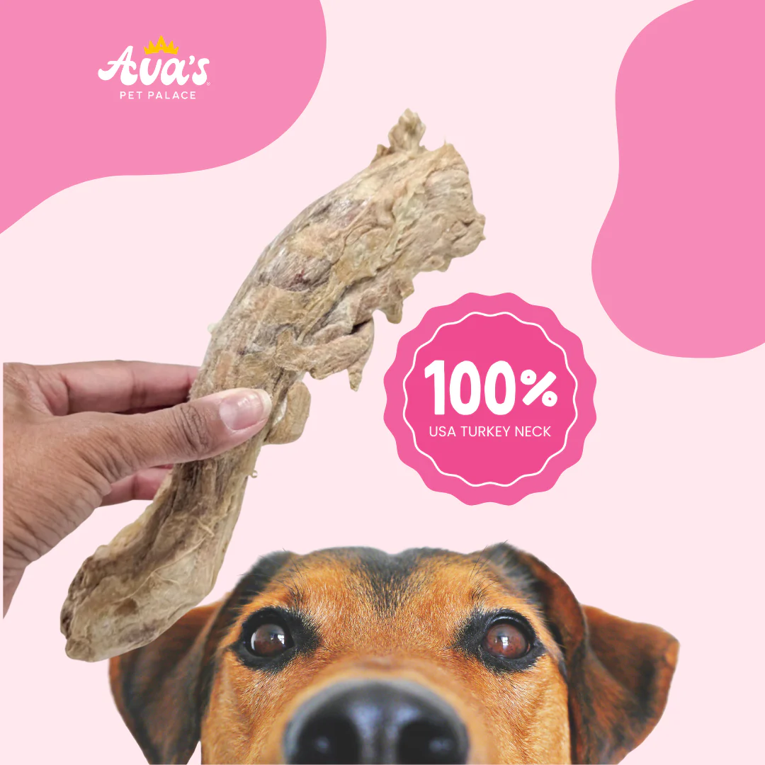 Freeze Dried Turkey Neck - Turkey Twists - Image 3