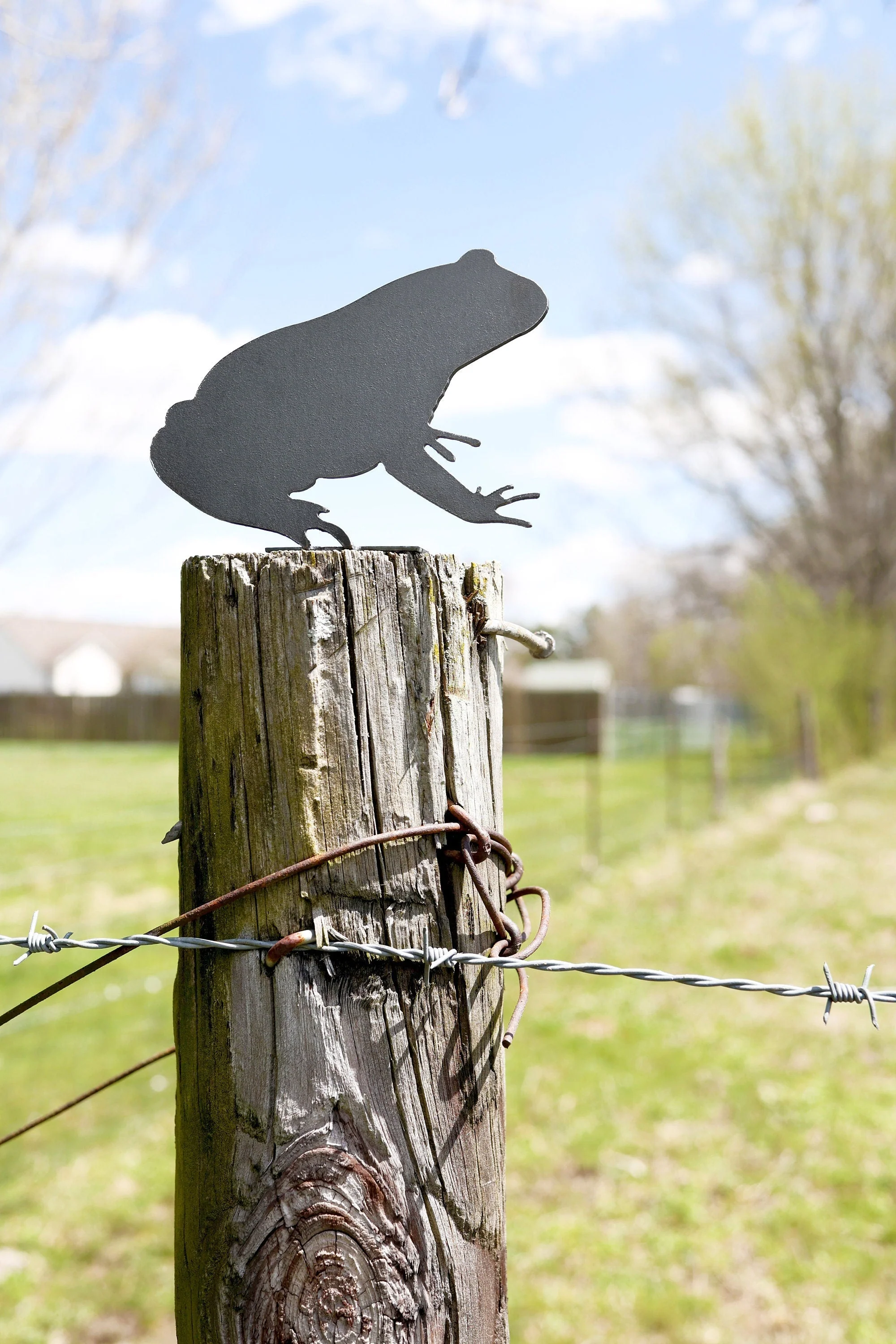 Frog Statue - Image 4