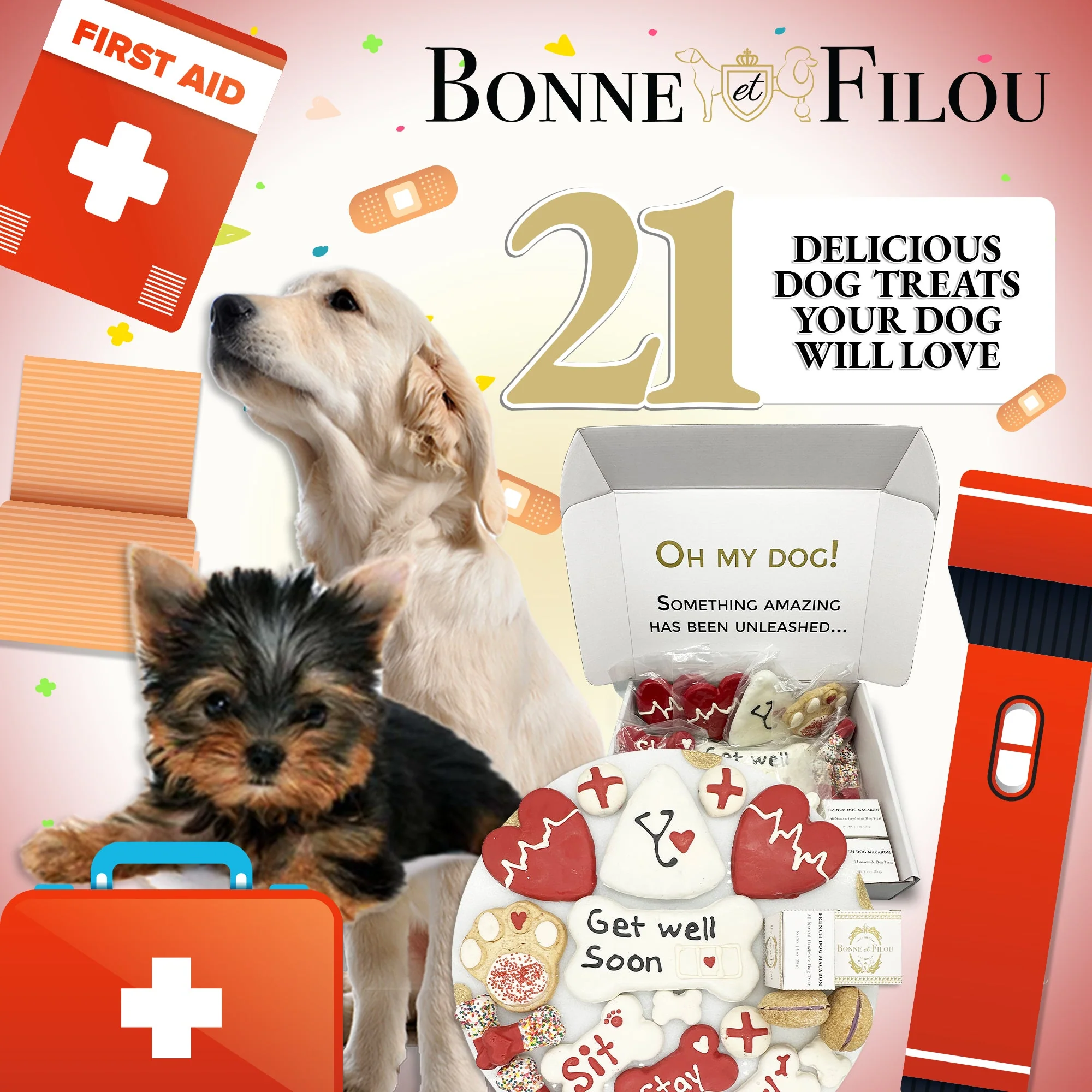 Get Well Soon Themed Dog Treats Gift Box - Image 6
