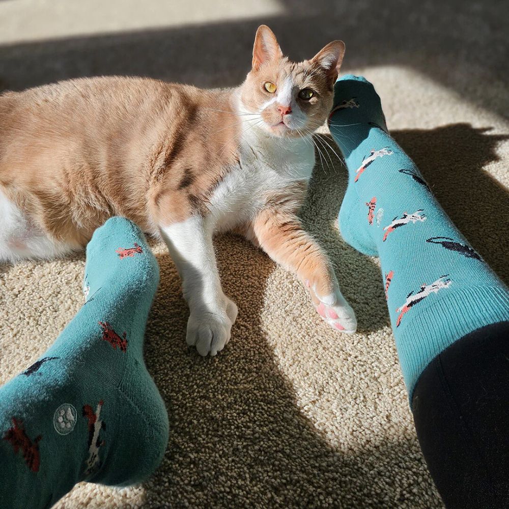 Gift Box - Socks That Save Cats - Image 4
