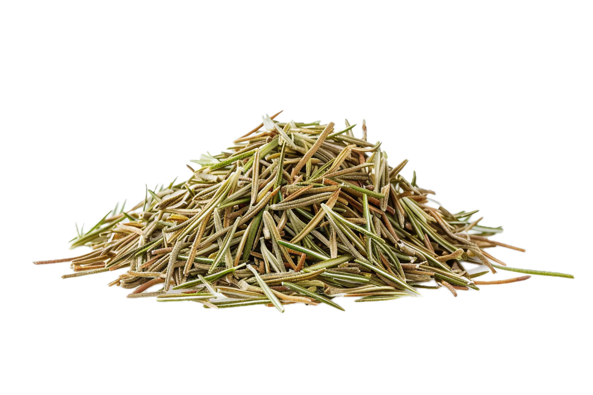 Green Rosemary Needles - Moroccan Harvest - Image 5