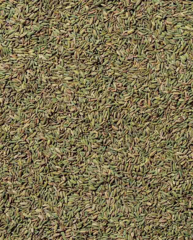 Hariyali Fennel - Image 2