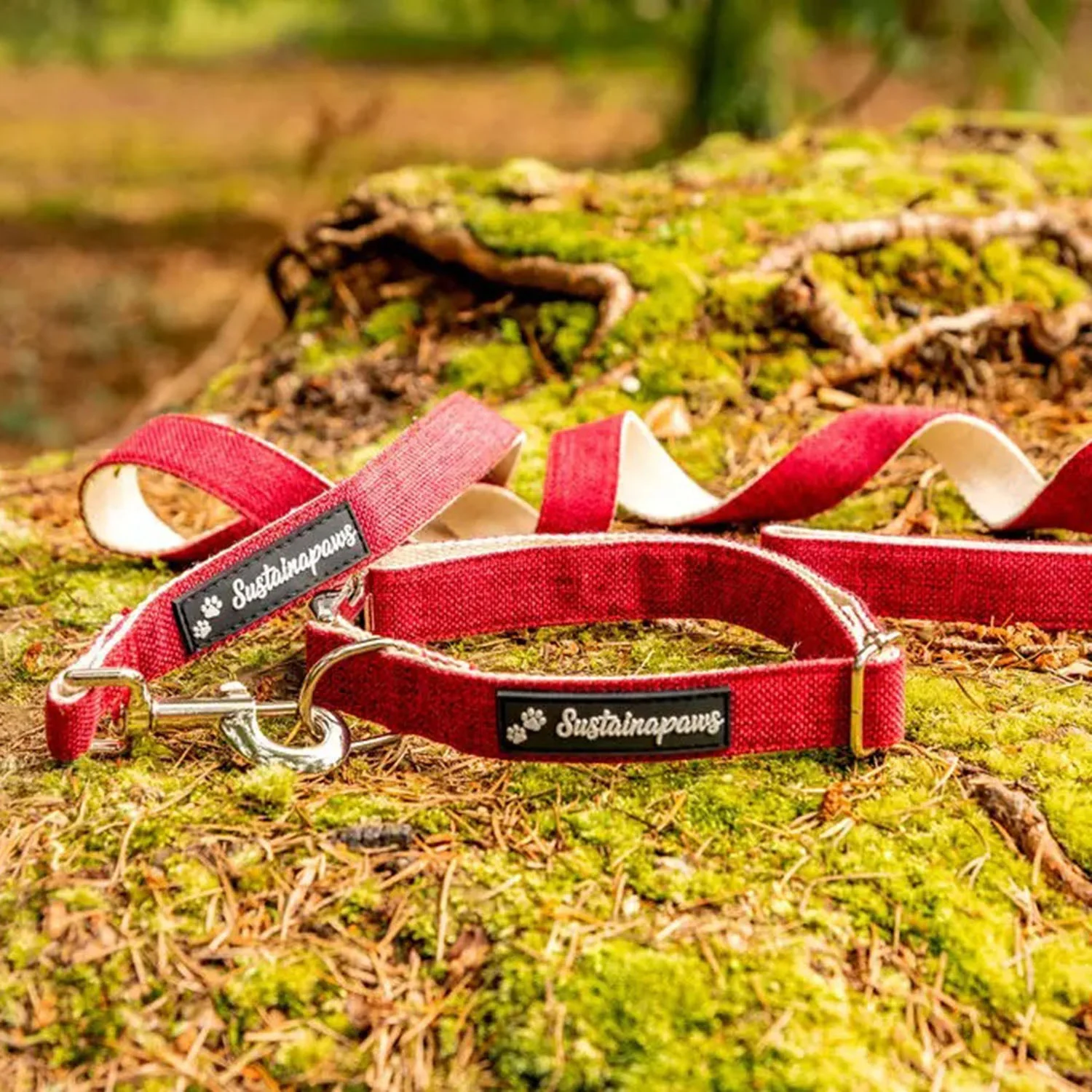 Hemp & Organic Cotton Eco Dog Lead - Small - Image 2