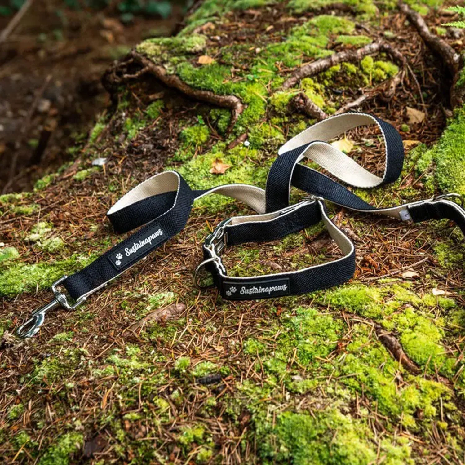 Hemp & Organic Cotton Eco Dog Lead - Small - Image 3