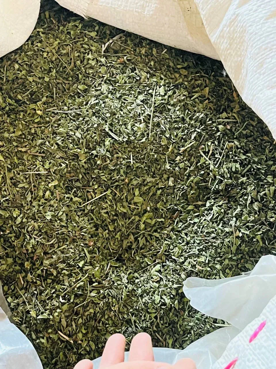 Herati Mint Leaves Extra Aromatic - Single Origin - Image 9
