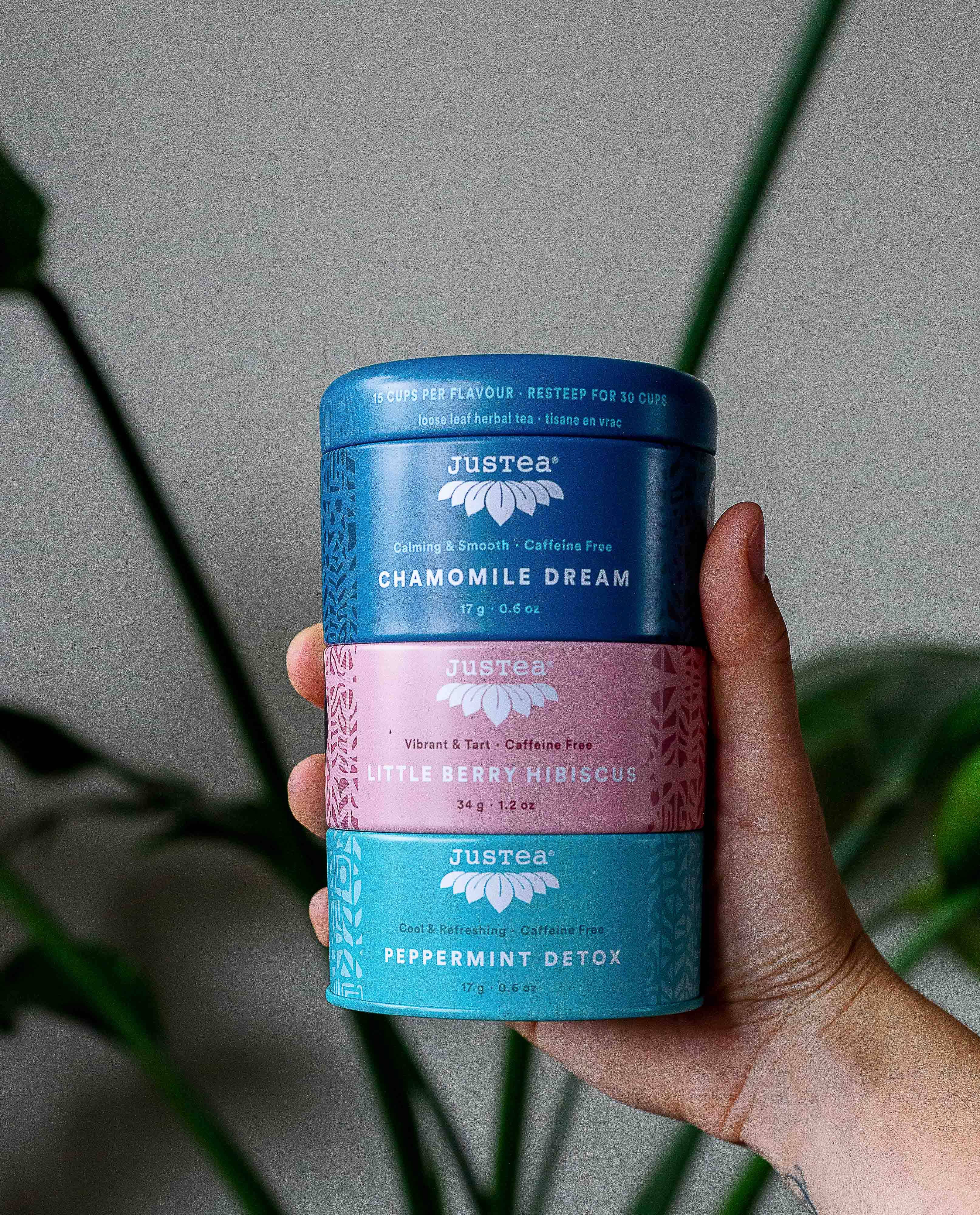 Herbal Tea Trio Tin & Spoon - Organic, Fair-Trade Tea Gift - Image 6