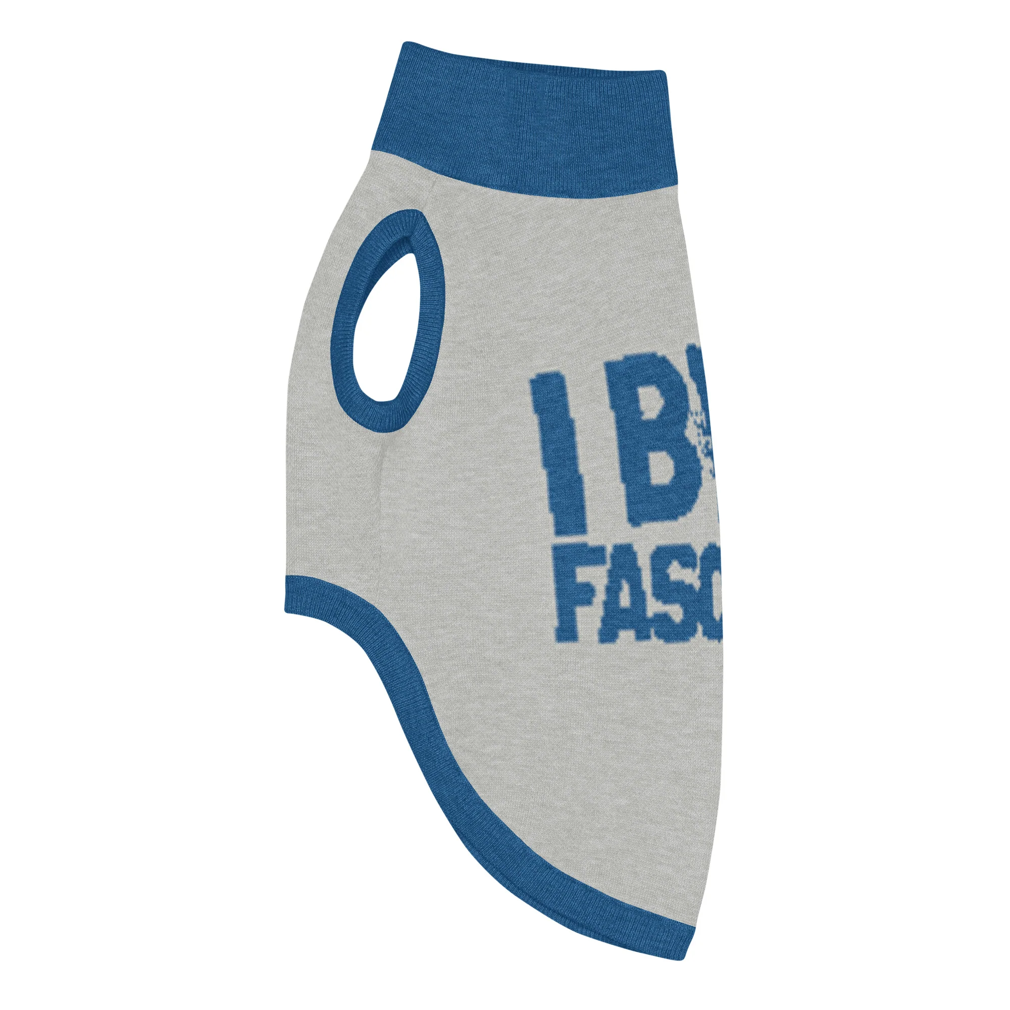 I Bite Fascists Knitted Pet Sweater - Image 6