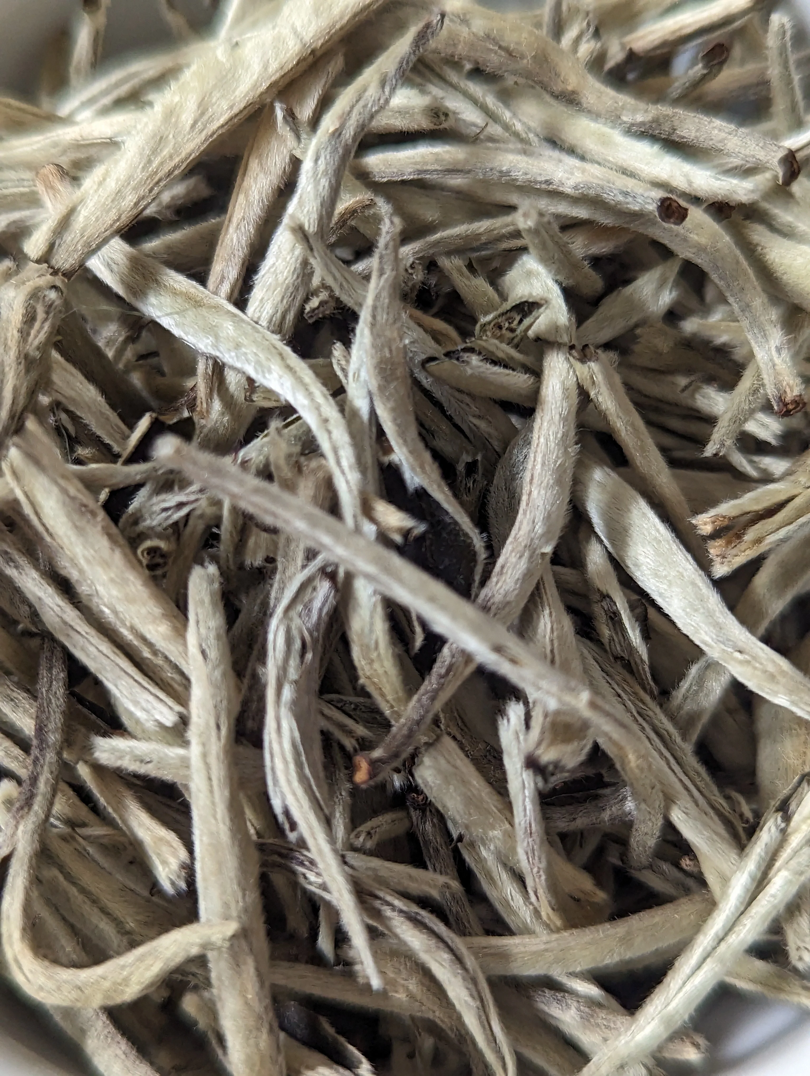 Imperial Silver Needle - Image 2