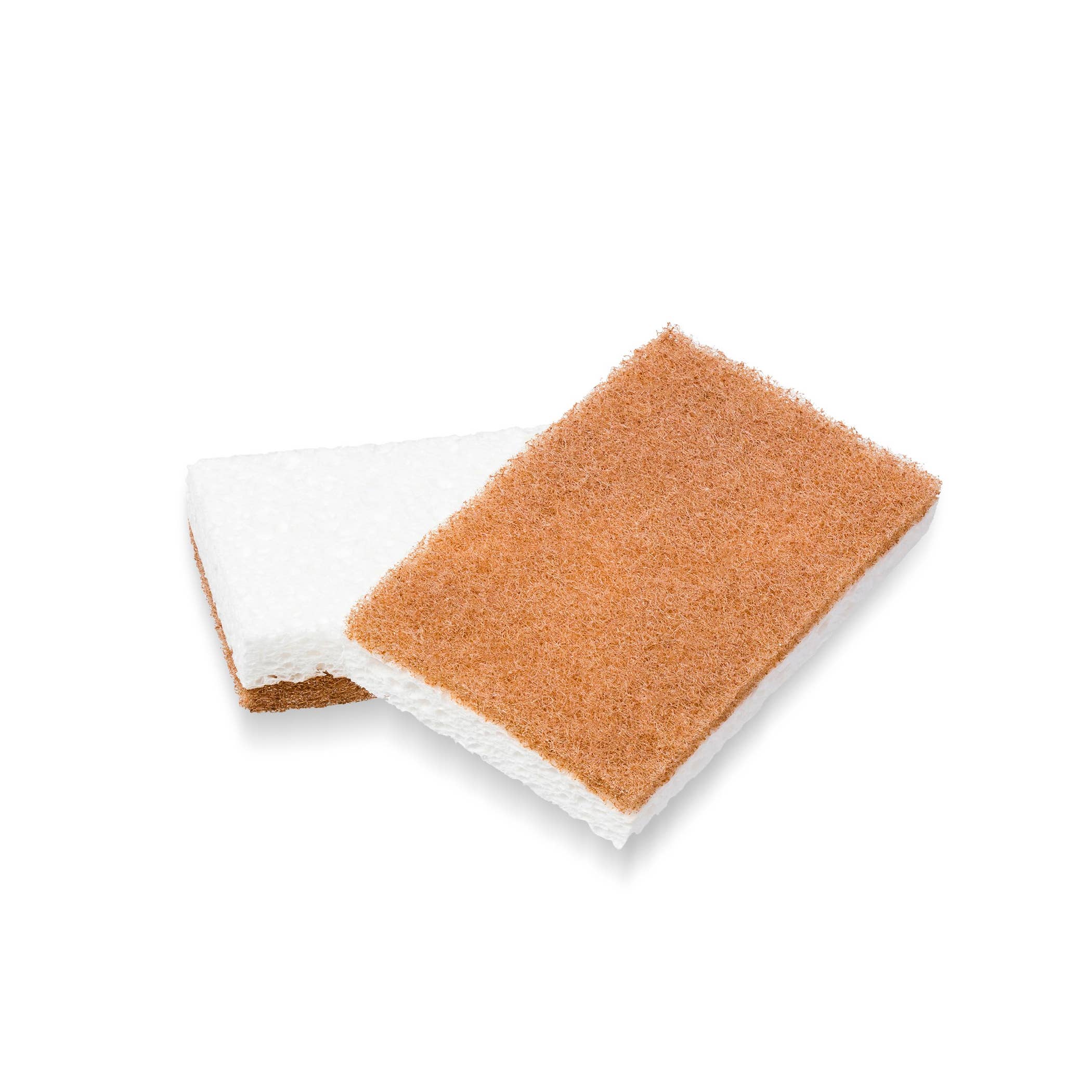 In A Nutshell Scrubber Sponge (2pk) - Image 2