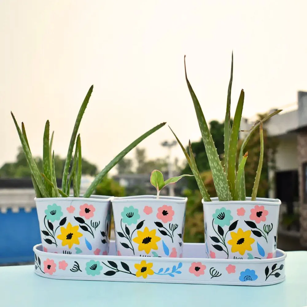 In Bloom 3-Piece Metal Pot Planter with Tray - Image 2