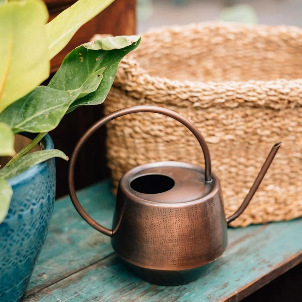 Iron Watering Can in Antique Copper Finish - Image 3