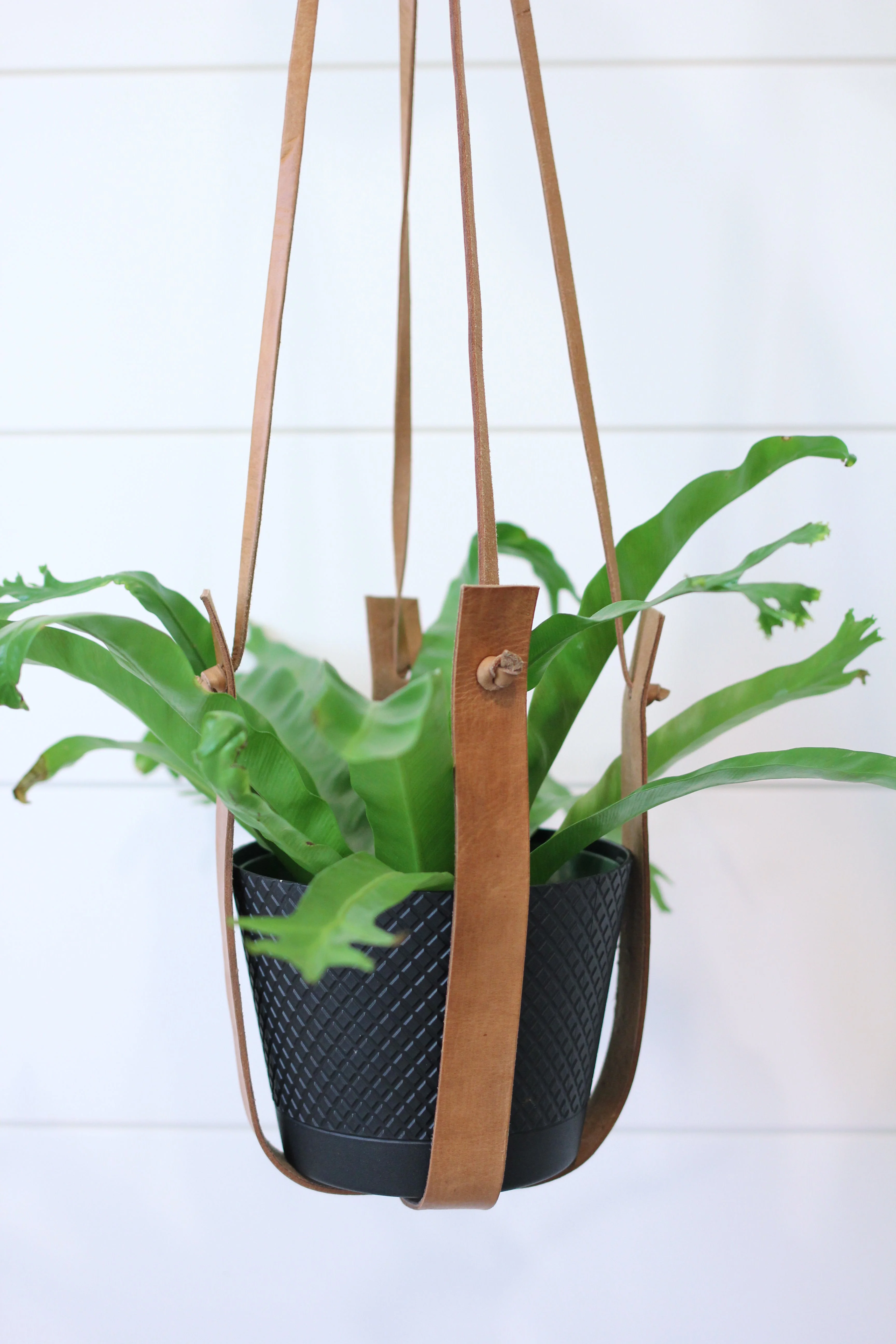 Large Flourish Leather Plant Hanger - Image 4