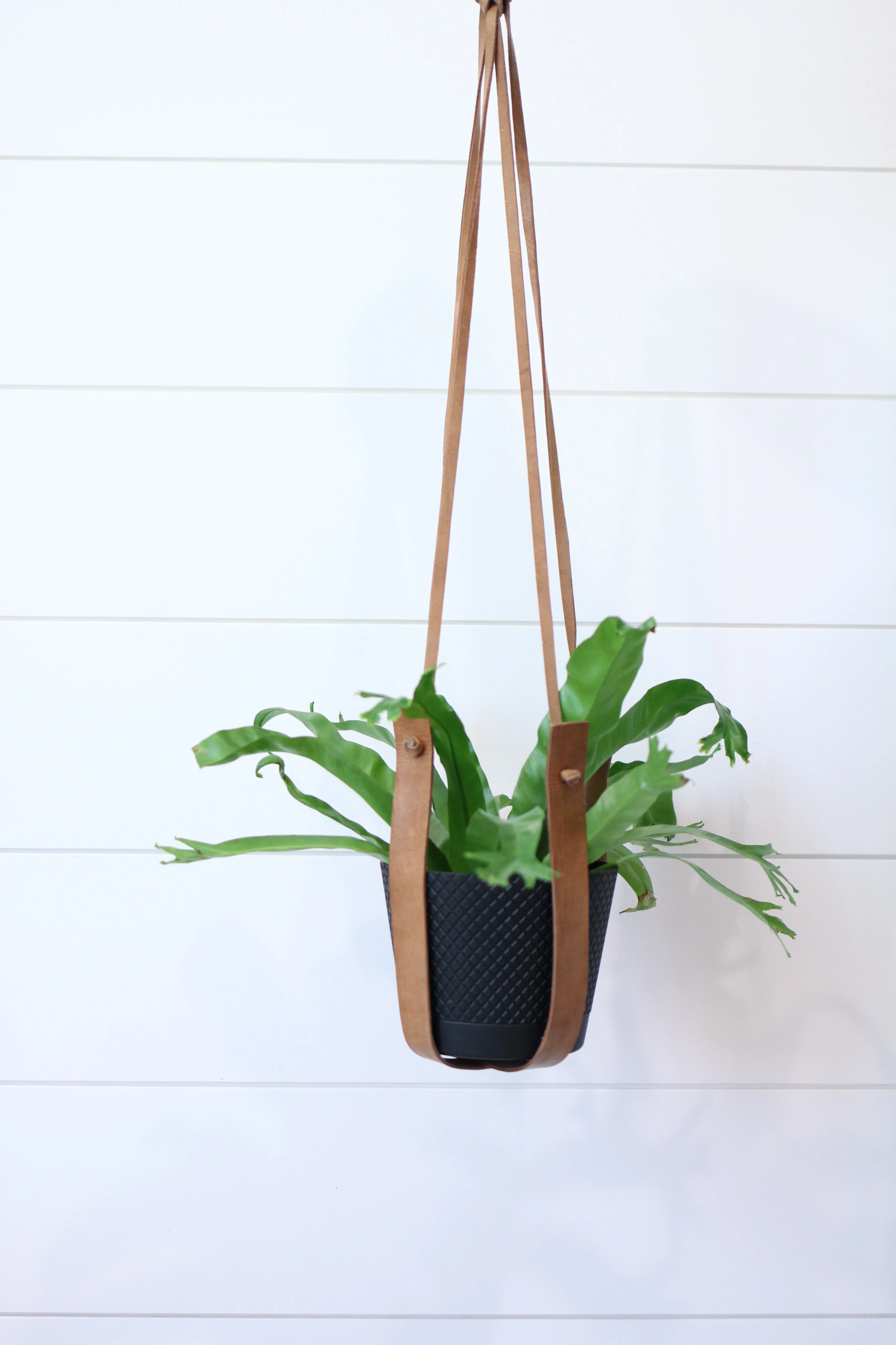 Large Flourish Leather Plant Hanger - Image 5