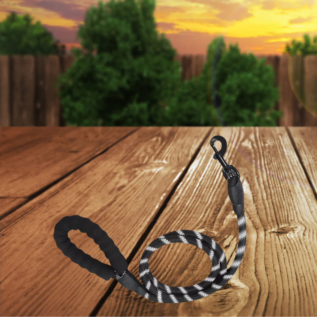 Leash: Reflective Nylon Dog Leash | 5ft | Comfort Handle | 8 Colors - Image 3
