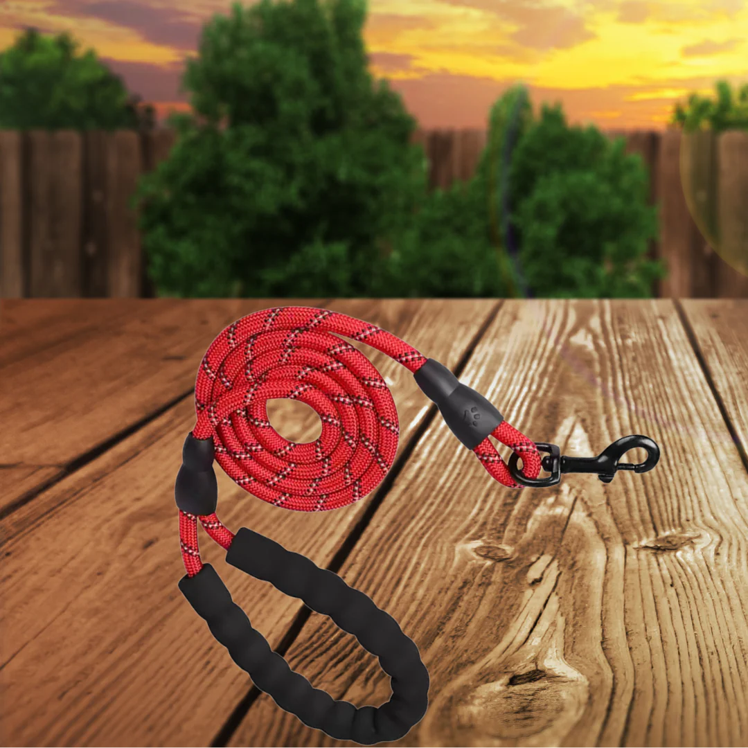 Leash: Reflective Nylon Dog Leash | 5ft | Comfort Handle | 8 Colors - Image 5