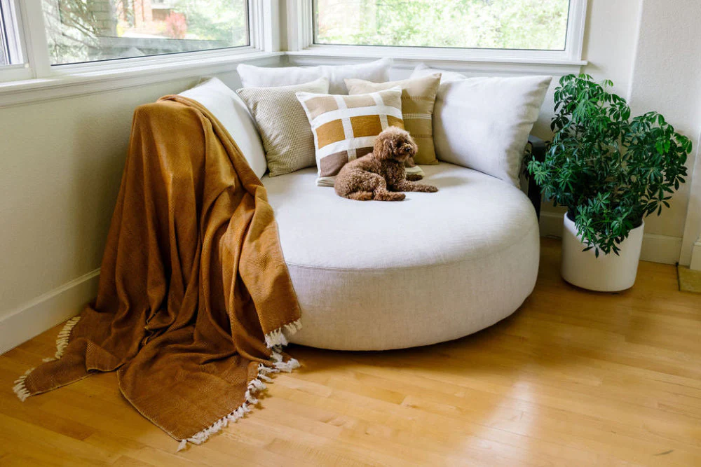 Mechot Handwoven Ethiopian Cotton Throw Blanket - Image 5