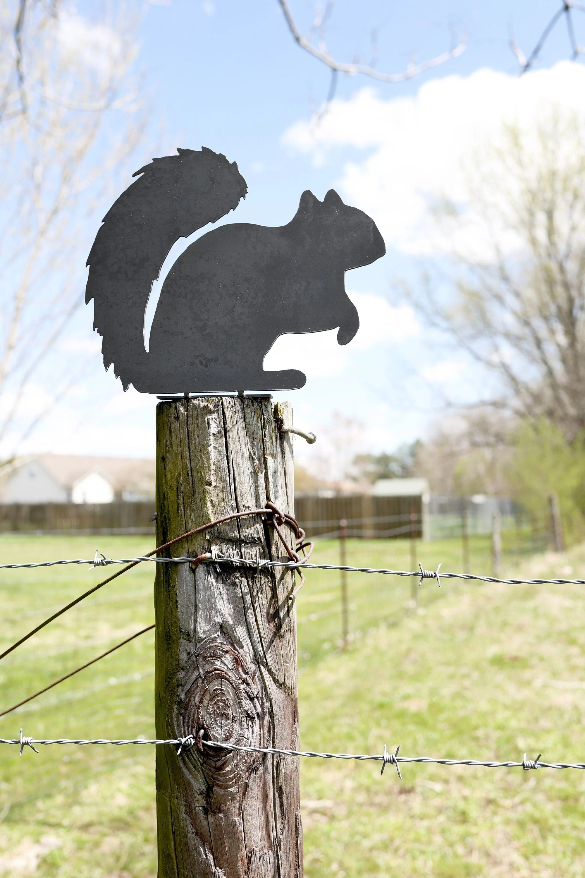 Metal Squirrel Statue - Image 3