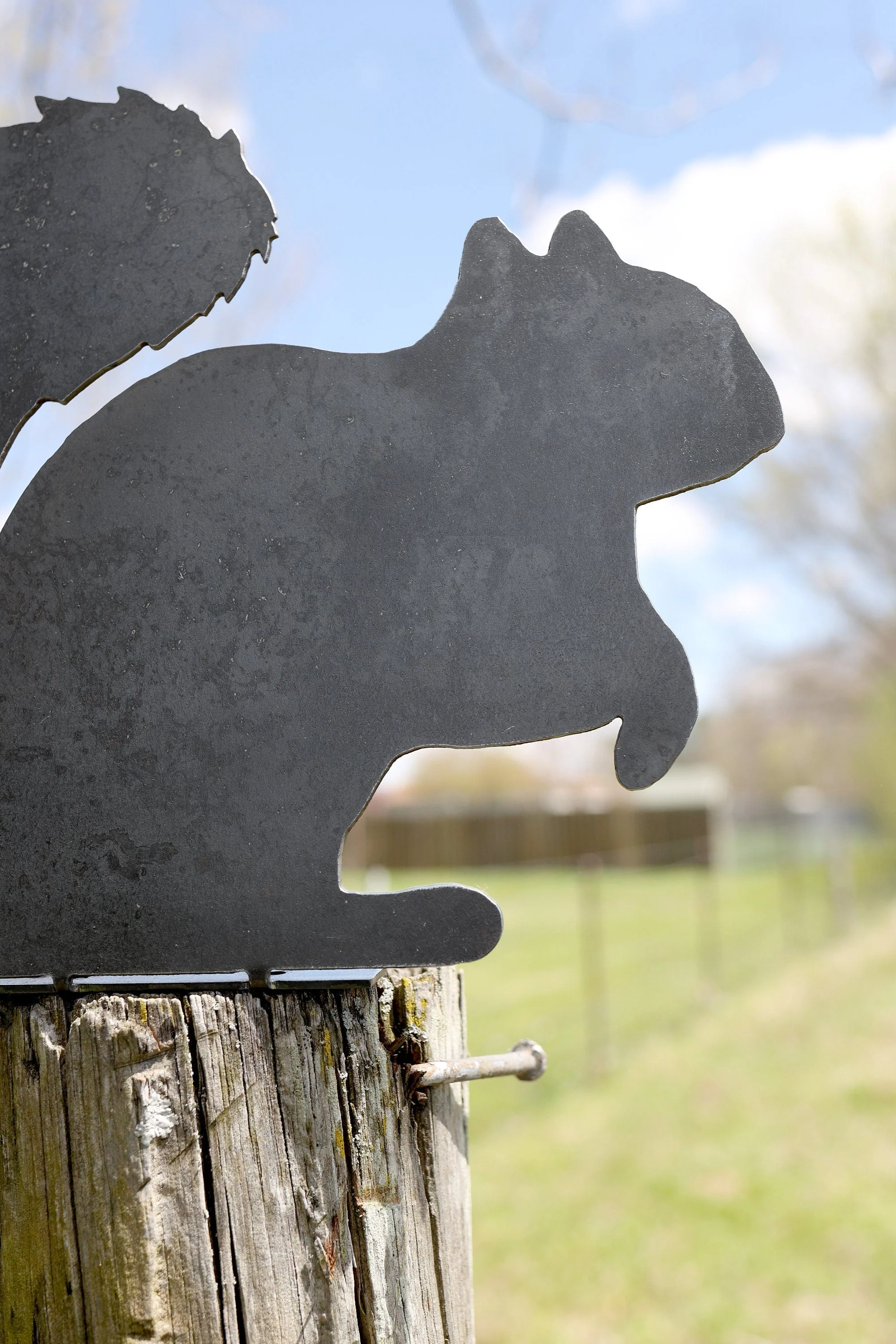 Metal Squirrel Statue - Image 4