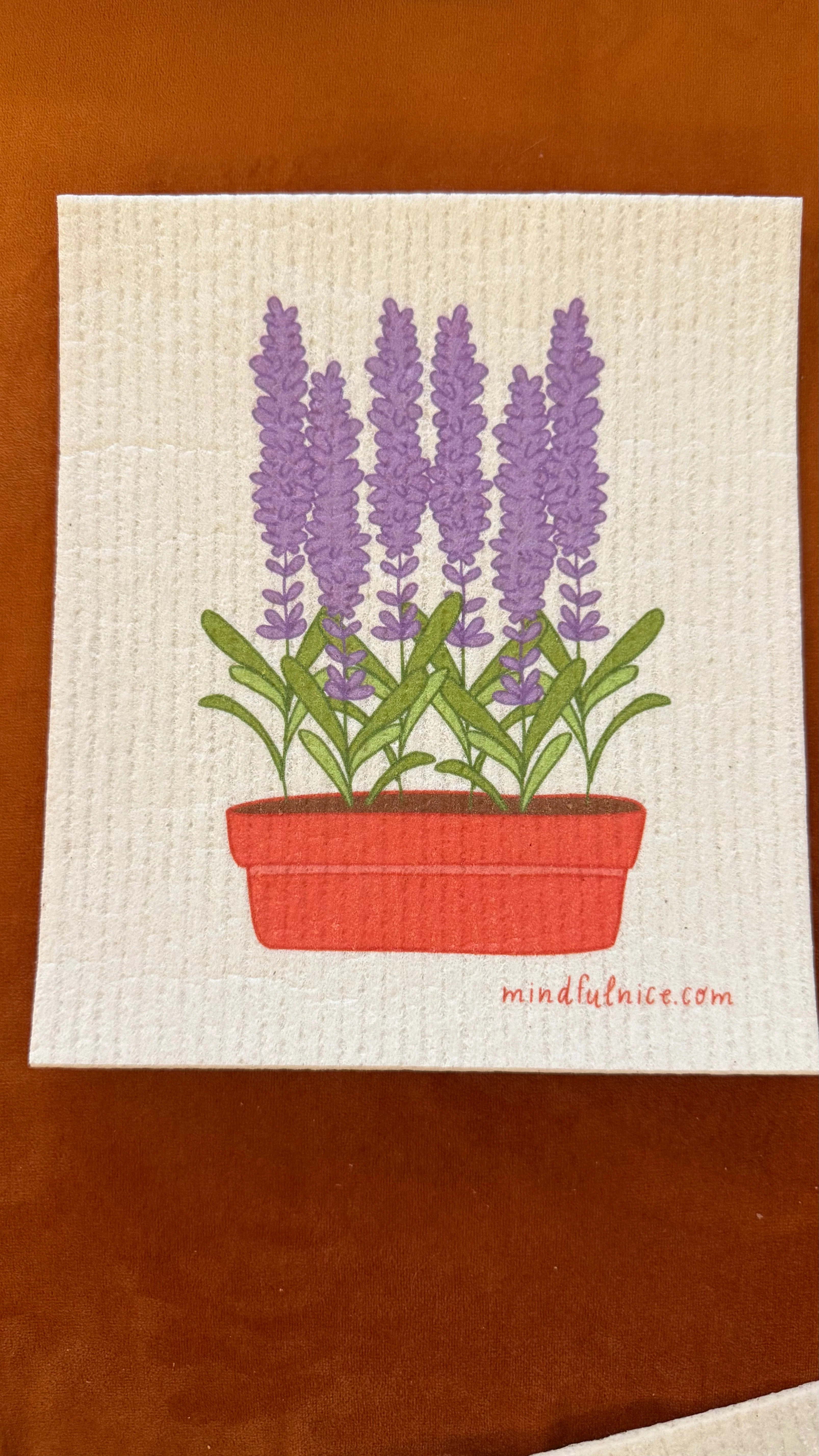 Mindful Cleaning Swedish Dishcloth Set - Image 5