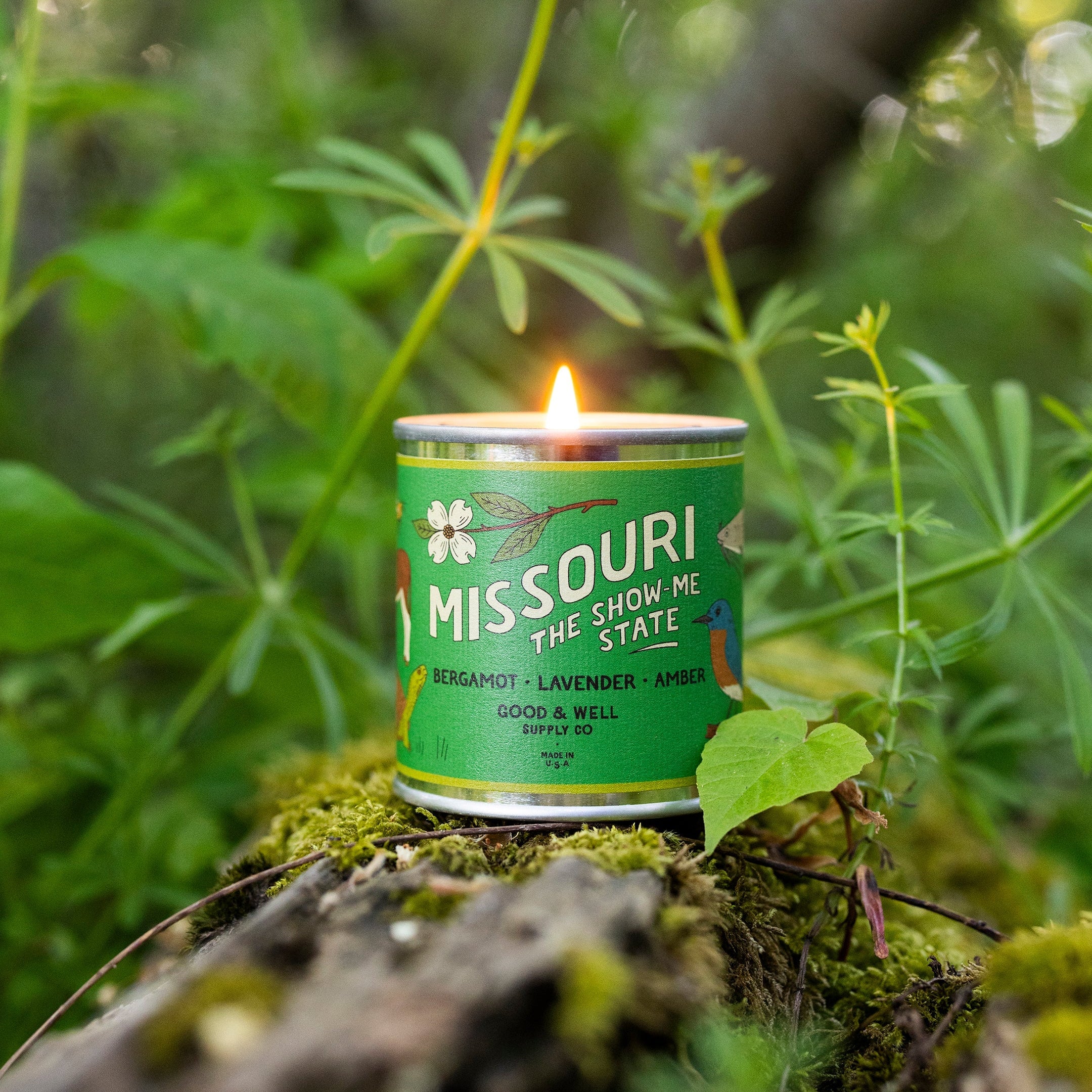 Missouri State Candle - Image 3