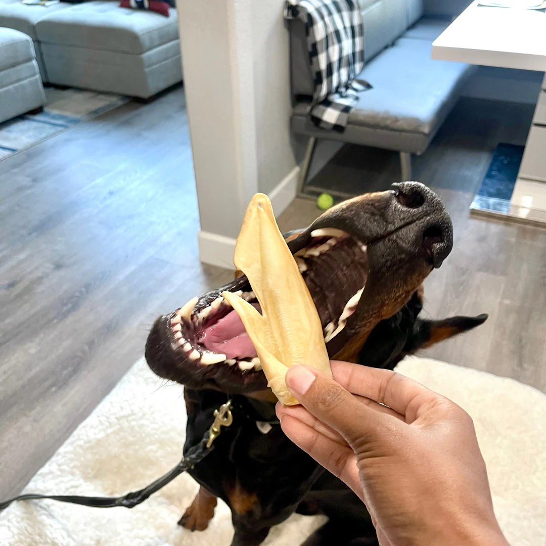 Natural Dog Chews - Lamb Ears - Image 2
