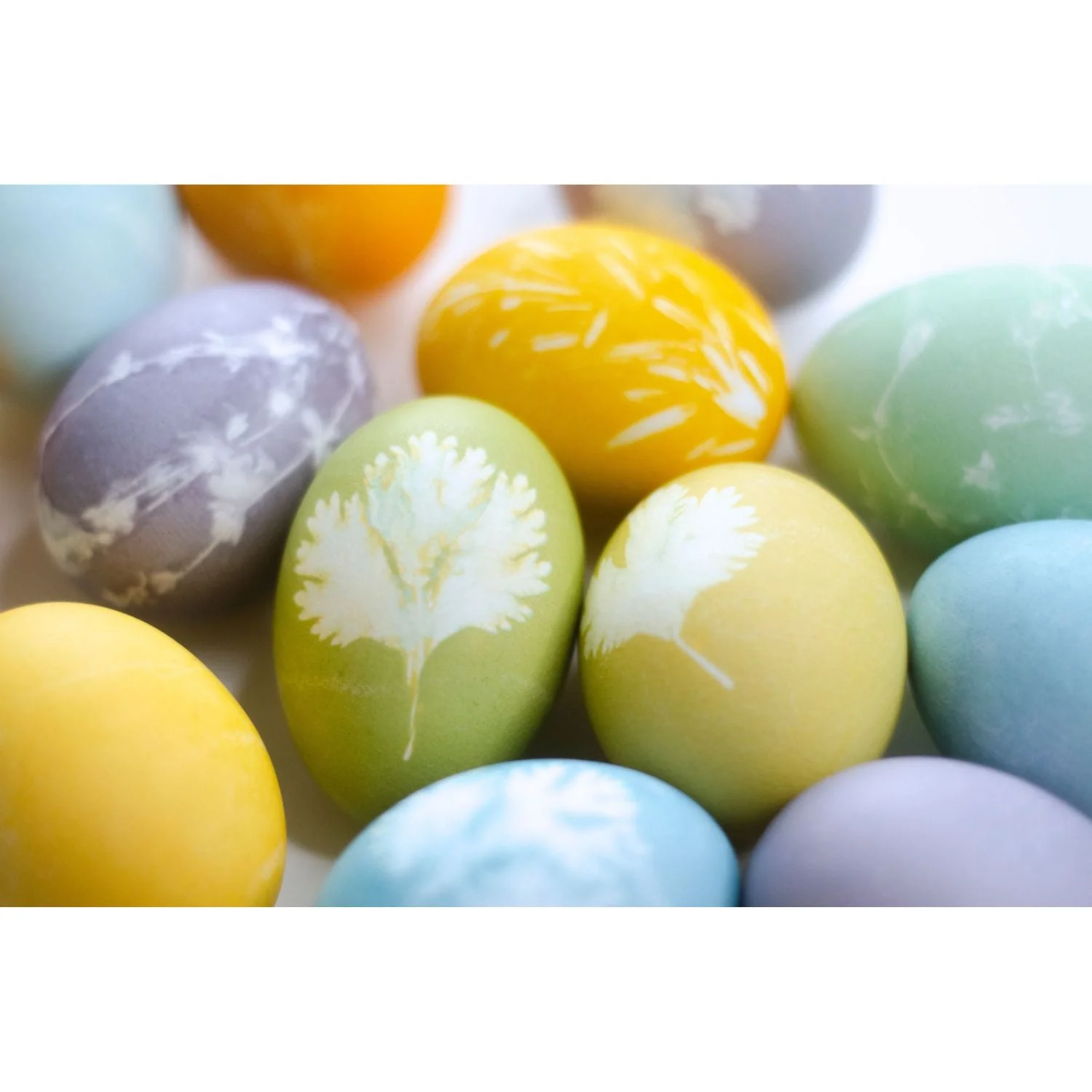Natural Easter Egg Paint & Dye Set - Image 4