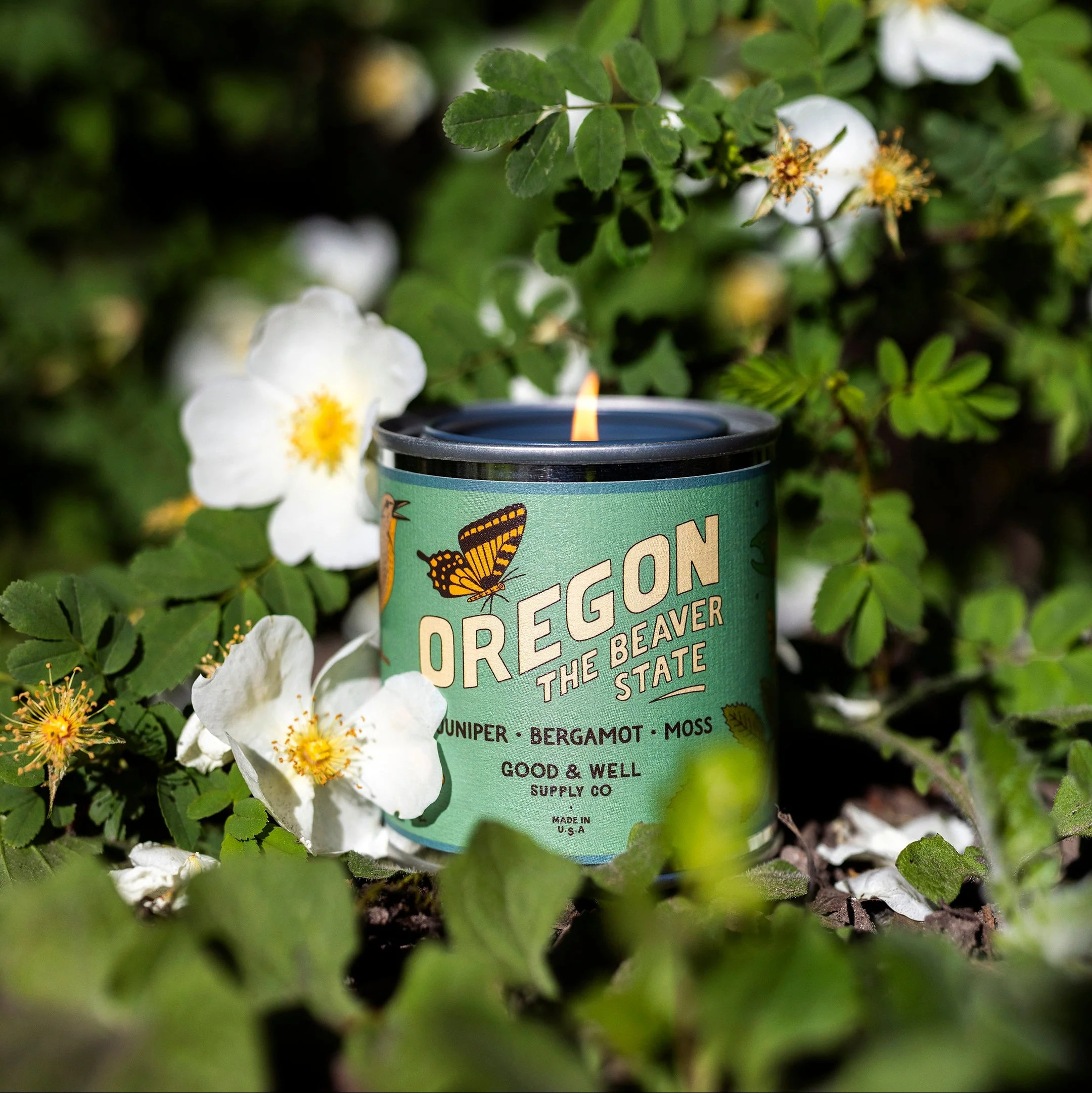 Oregon State Candle - Image 3