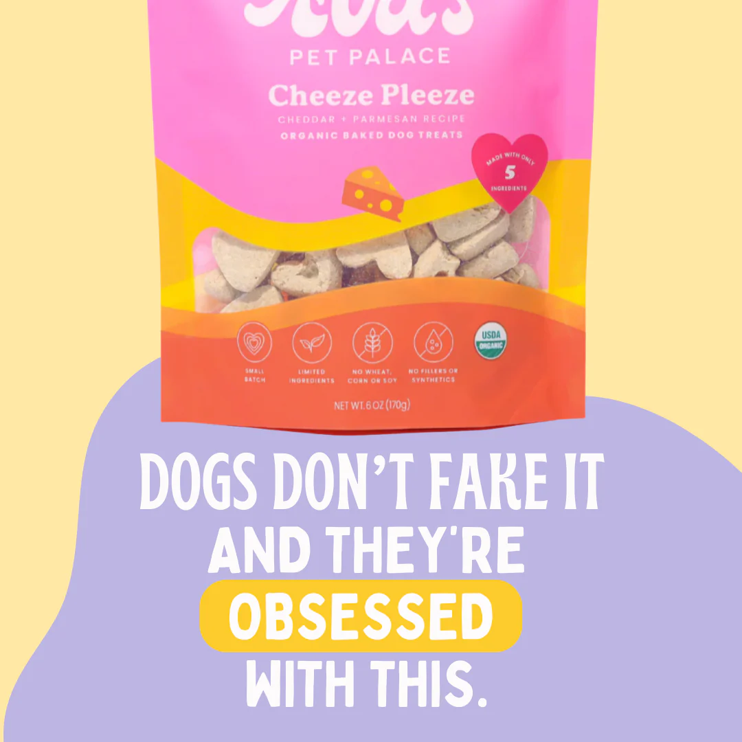 Organic Baked Dog Treats - Cheeze Pleeze - Image 7