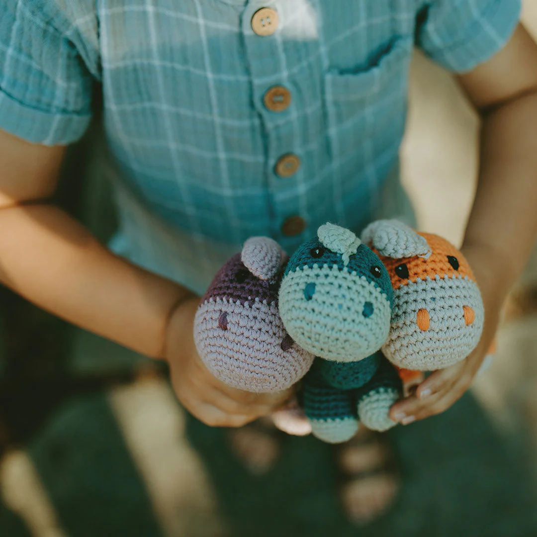 Organic Dino Rattle - Image 6