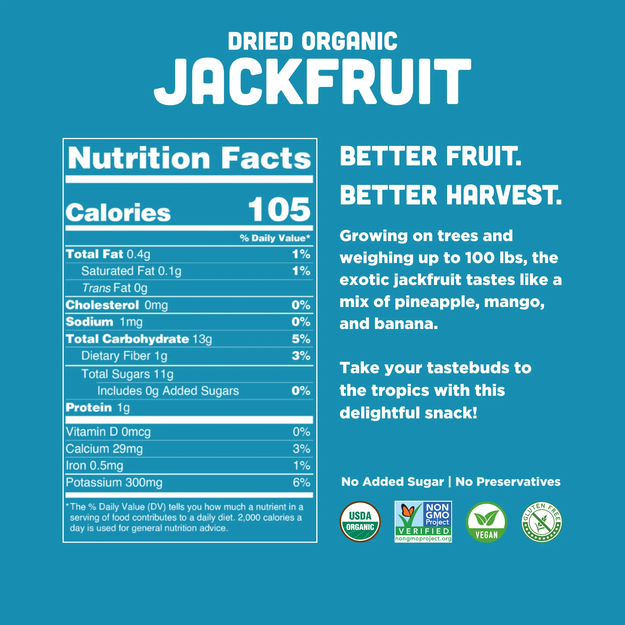 Organic Dried Jackfruit - Image 2