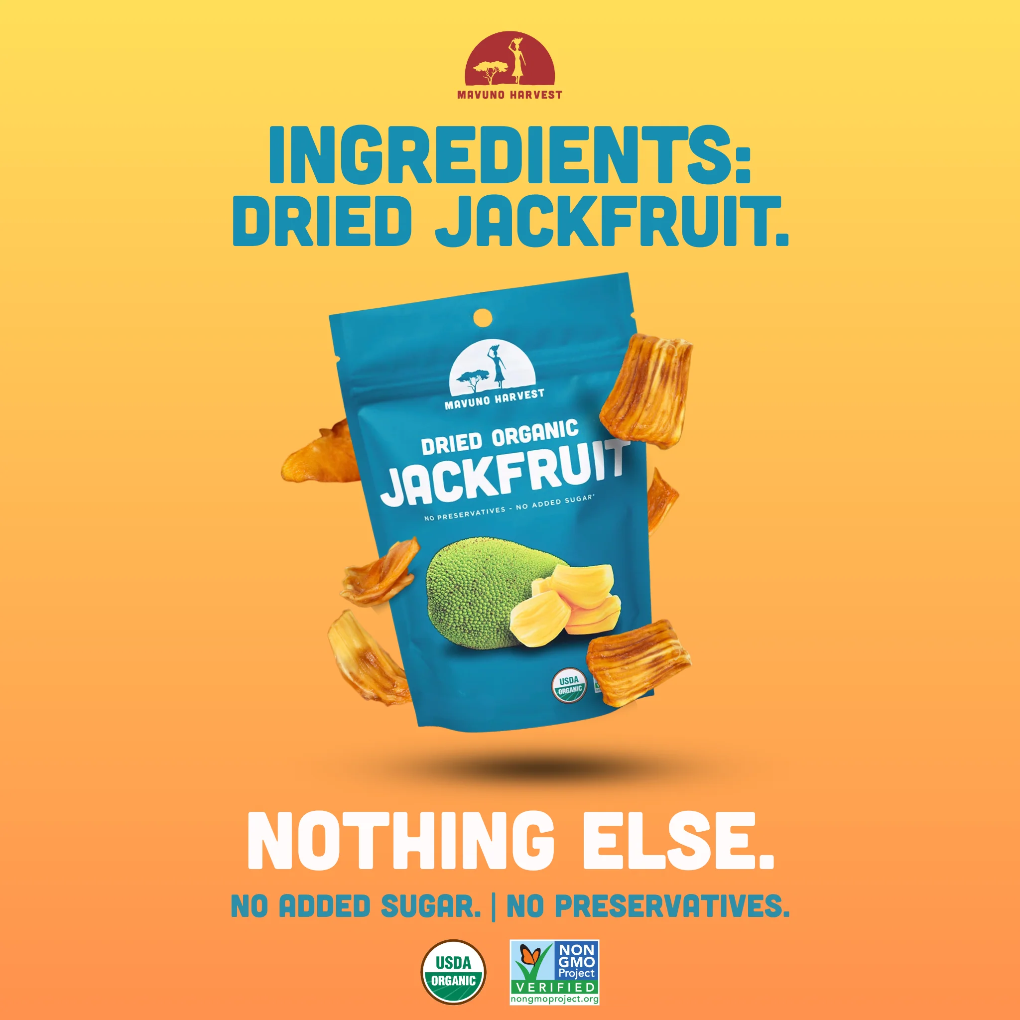Organic Dried Jackfruit - Image 3