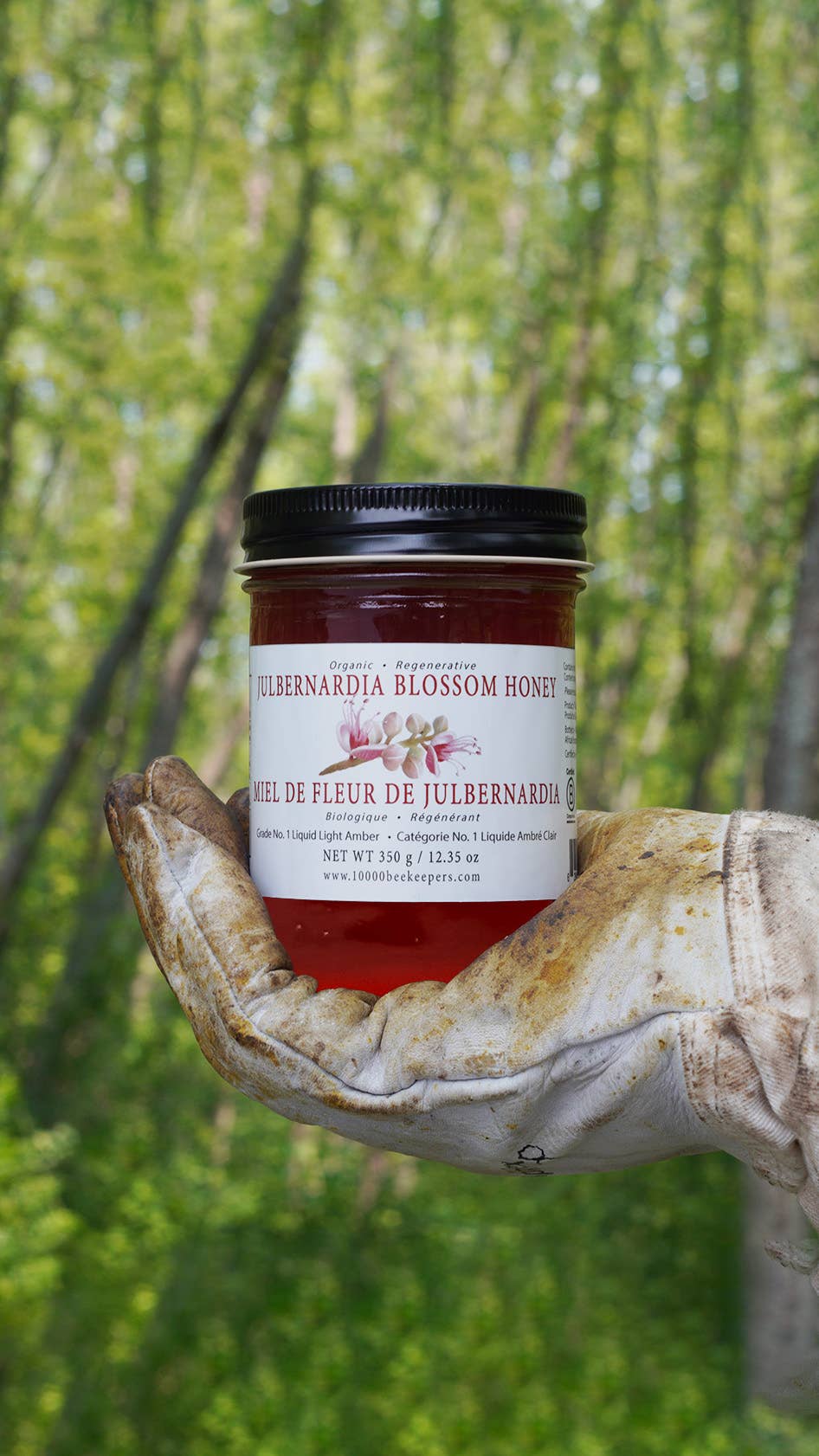 Organic Julbernardia Blossom Honey  - Image 3