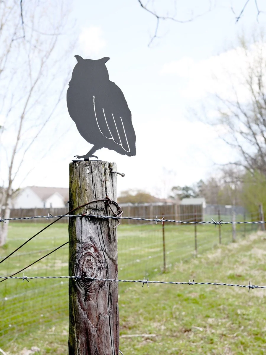 Owl Statue - Image 4
