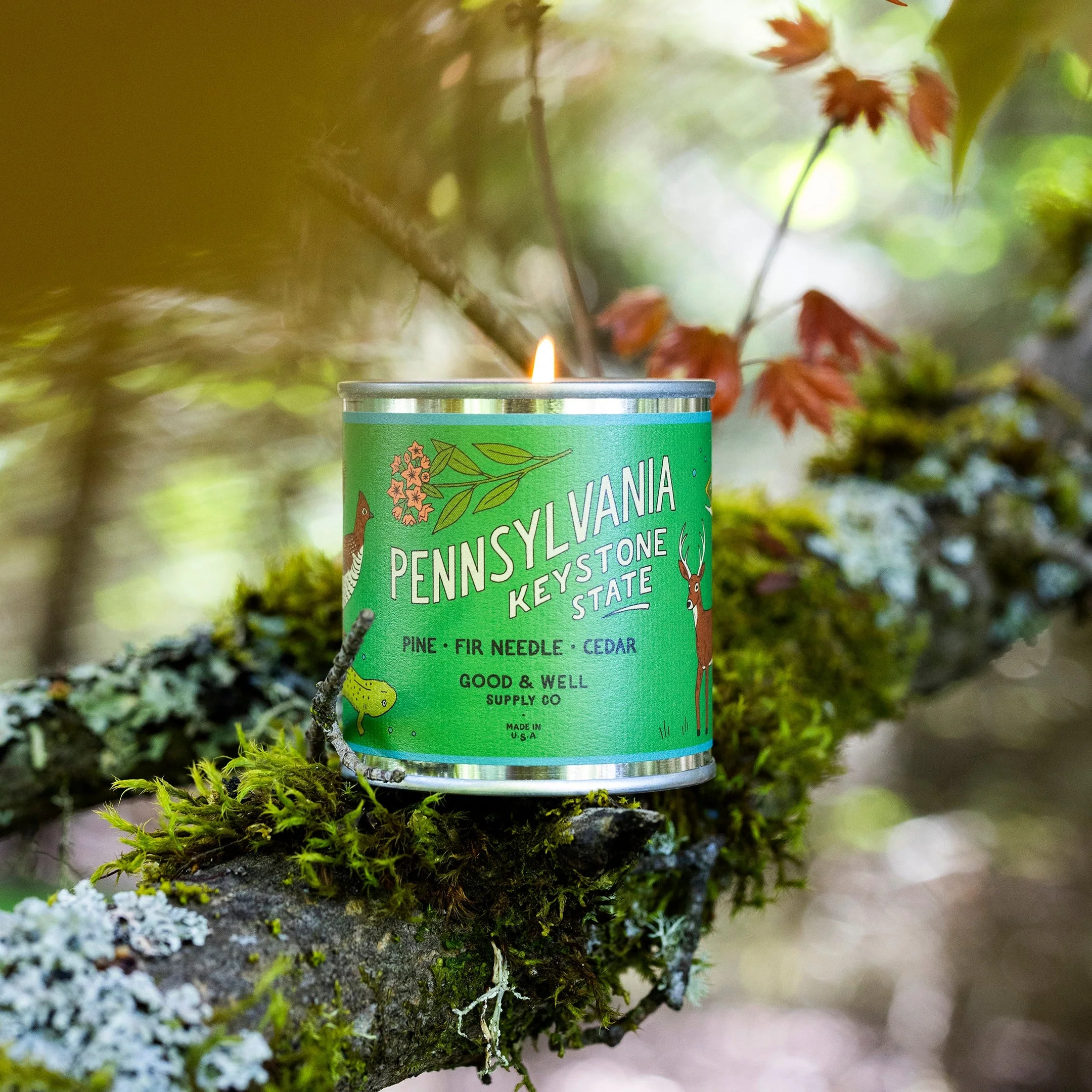 Pennsylvania State Candle - Image 3