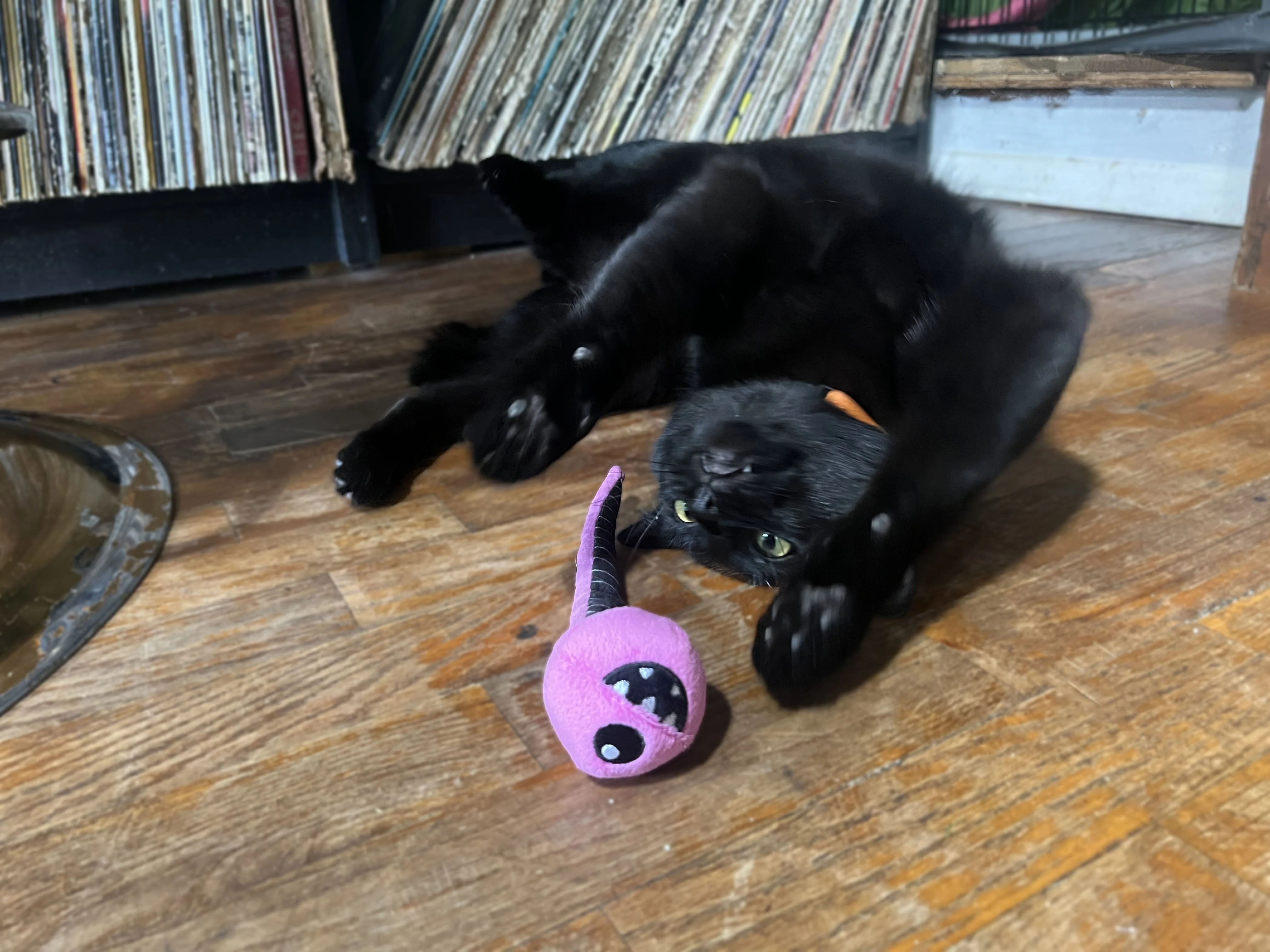 Pink Eye Jr. - Image 4