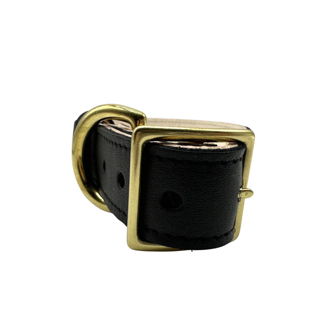 Plain Leather Dog Collar - Image 30