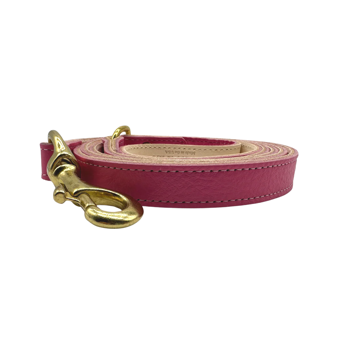 Plain Leather Dog Leashes - Image 5