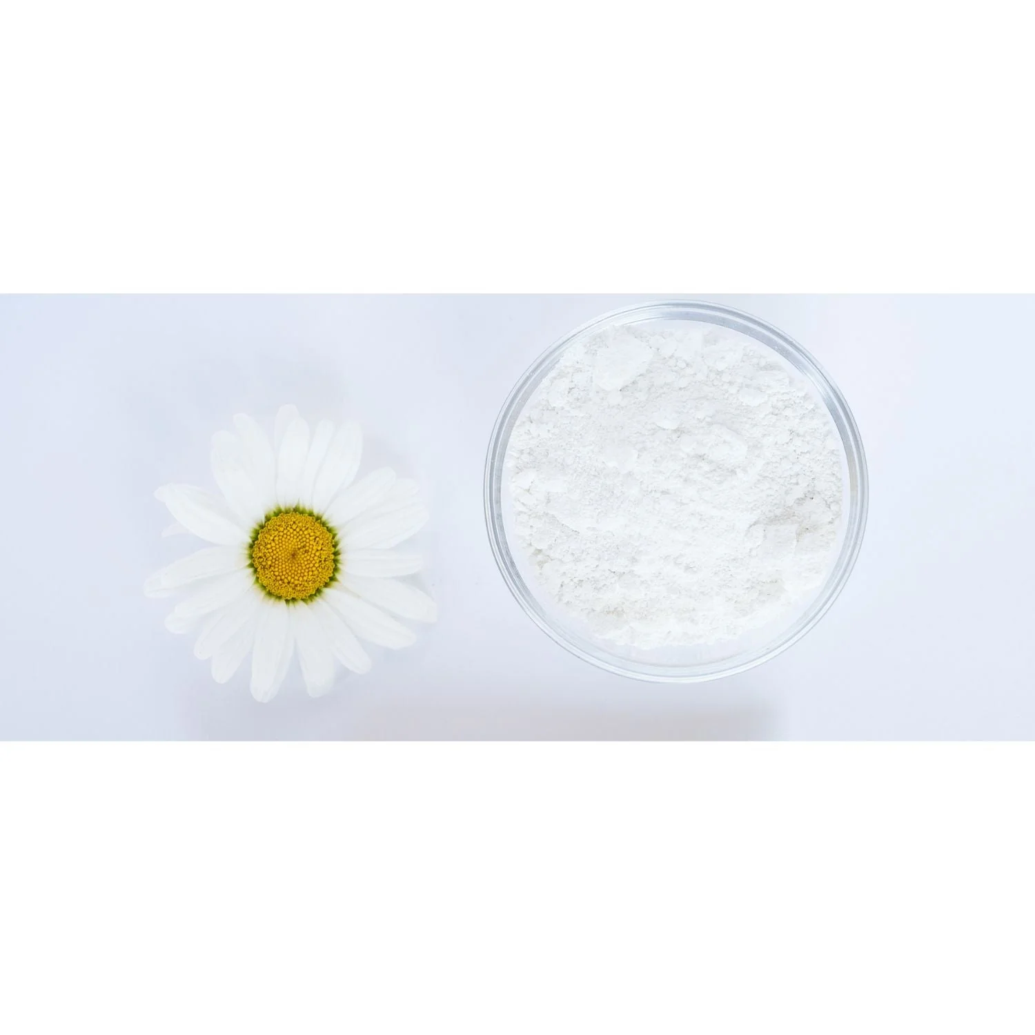 Primary Pigment Set - Image 7