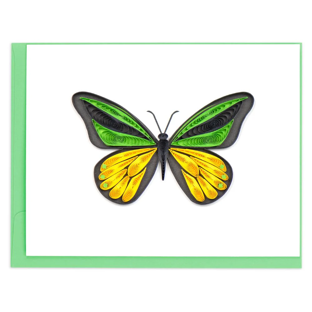 Quilled Butterflies Note Card Box Set - Image 5