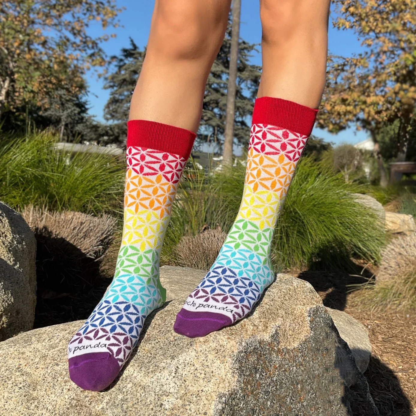 Rainbow Flowers Unisex Adult Socks - Image 2