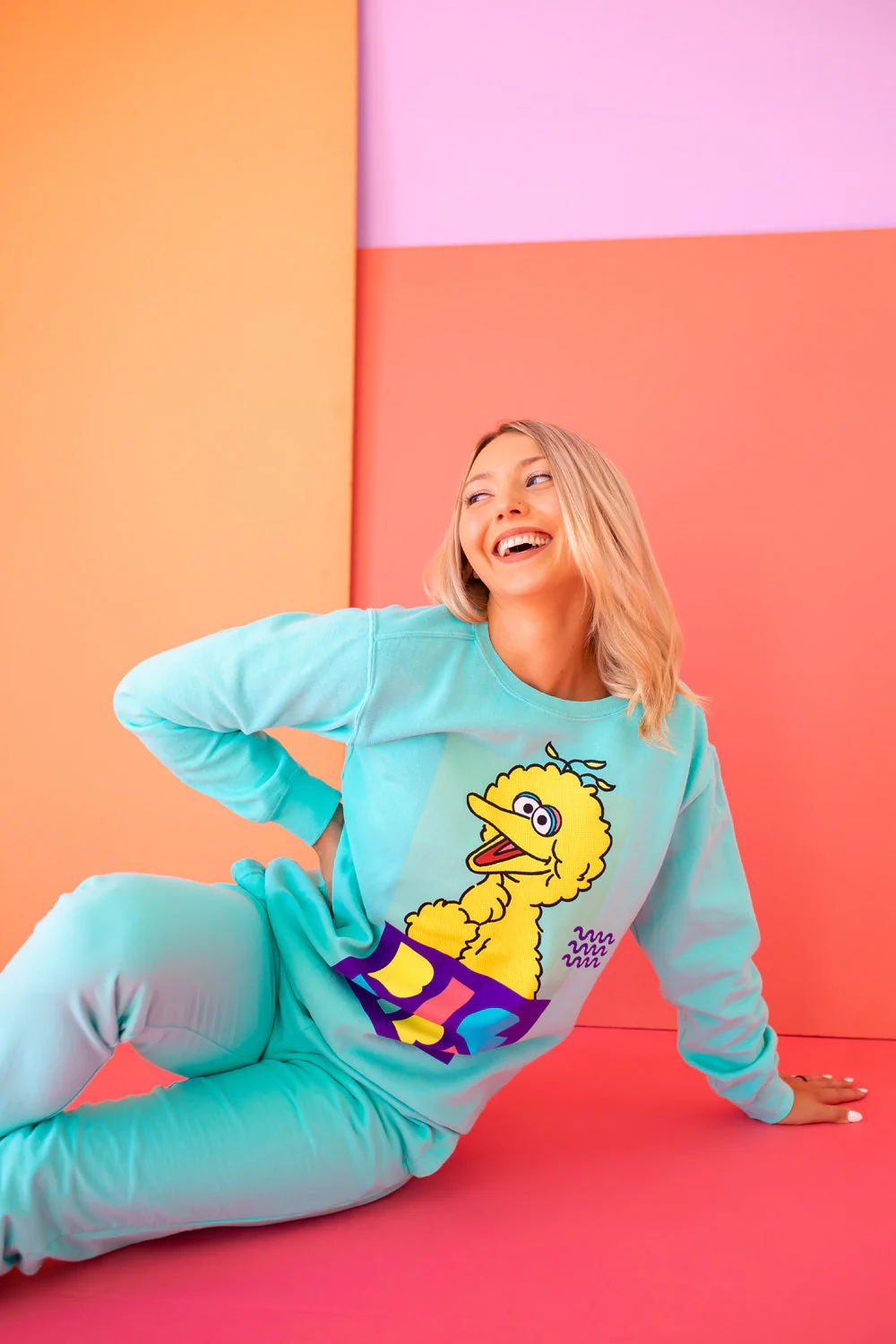 Sesame Street Big Bird Sweatshirt - Image 10