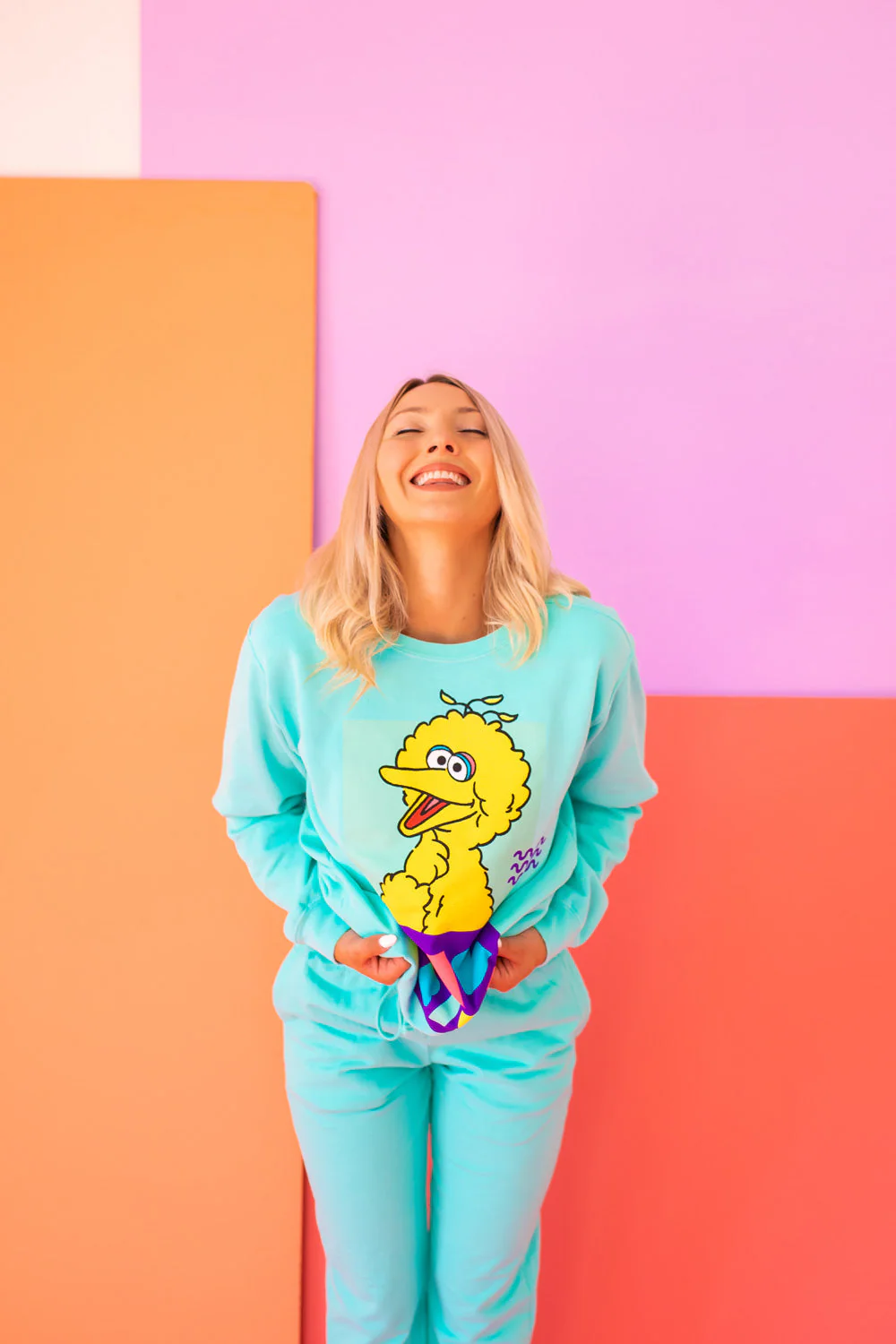 Sesame Street Big Bird Sweatshirt - Image 4