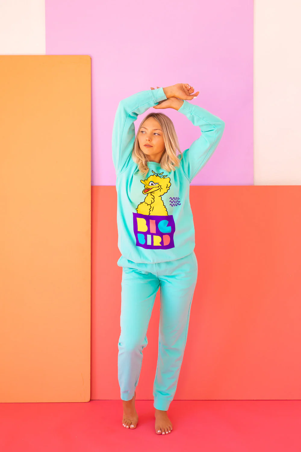 Sesame Street Big Bird Sweatshirt - Image 6